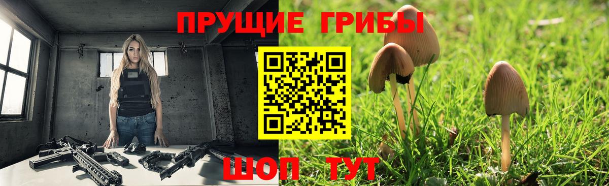 Старая Купавна  Псилоцибиновые грибы GOLDEN TEACHER  Вход с VPN  Галлюциногенные грибы прущие грибы 